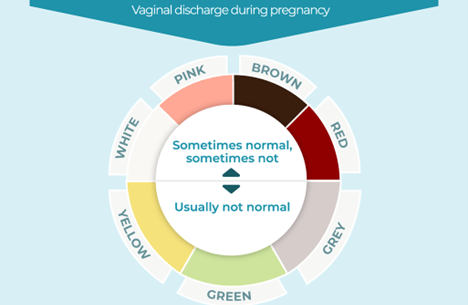 Pregnancy Discharge 101: What's Normal and What's Not